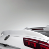 Спойлер для Volkswagen Tiguan (2020-н.в.) купить недорого с доставкой в Екатеринбург